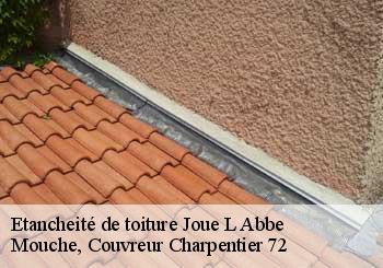 Etancheité de toiture  joue-l-abbe-72380 Mouche, Couvreur Charpentier 72