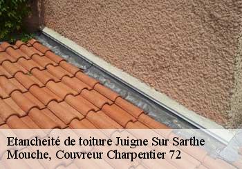 Etancheité de toiture  juigne-sur-sarthe-72300 Mouche, Couvreur Charpentier 72